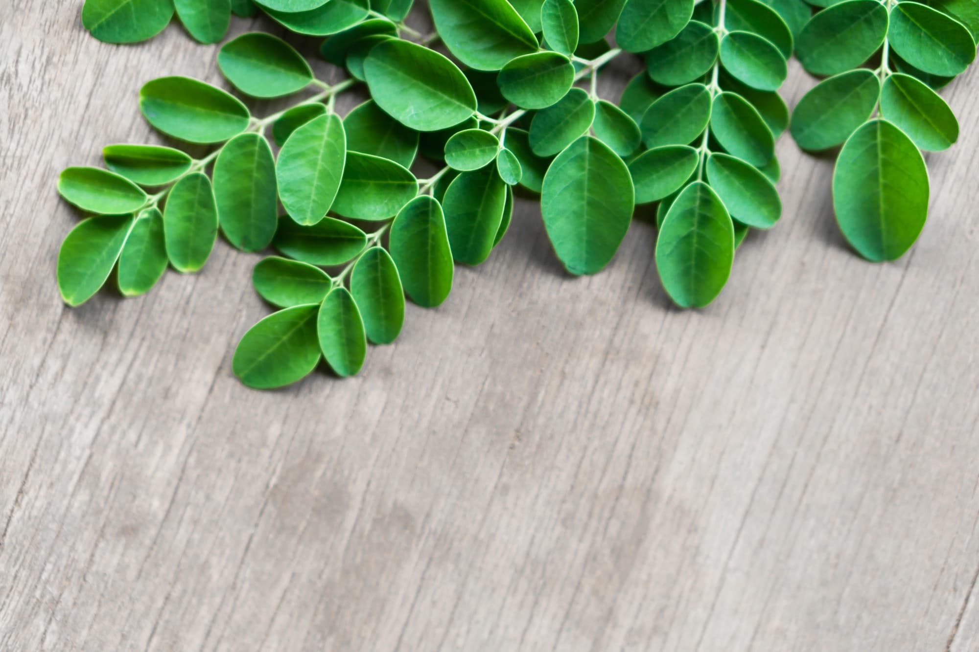 Closeup top view moringa leaves branch on wood background, herb and medical concept