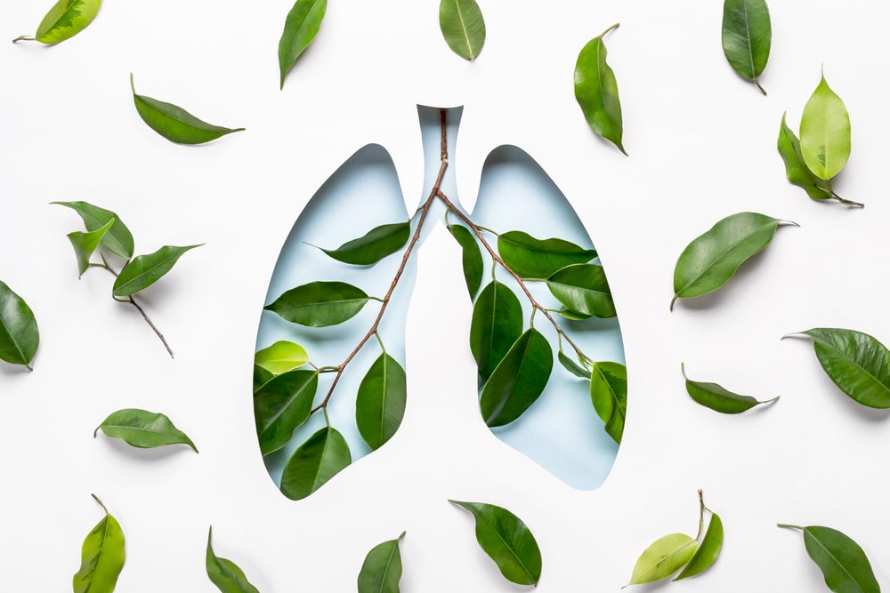 pollution de l'aire poumon