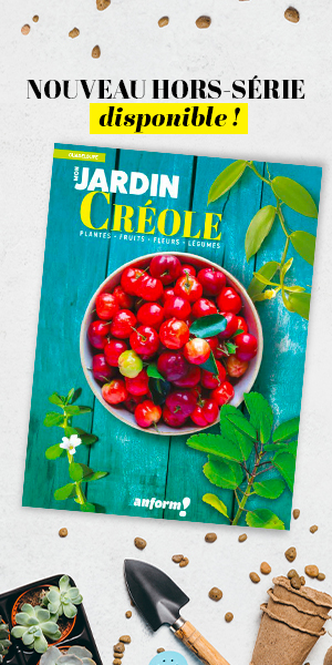 Pub demie page - Sortie magazine-Mon jardin creole