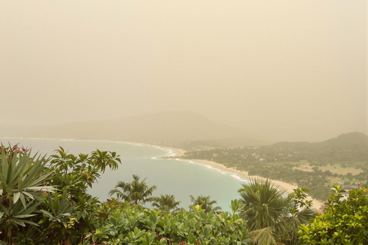 Brume de sable en Martinique : quoi faire ?.jpg
